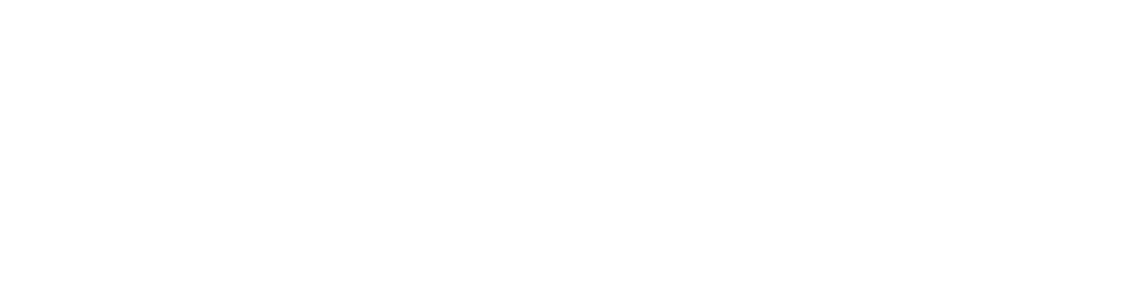 smarter services logo in white