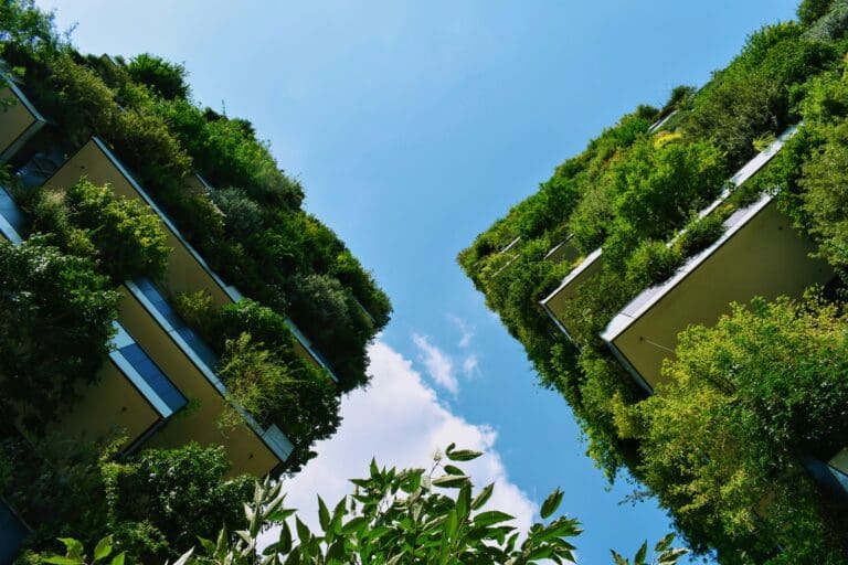 looking up at buildings with lots of greenery growing from them